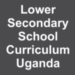 lower secondary school curriculum